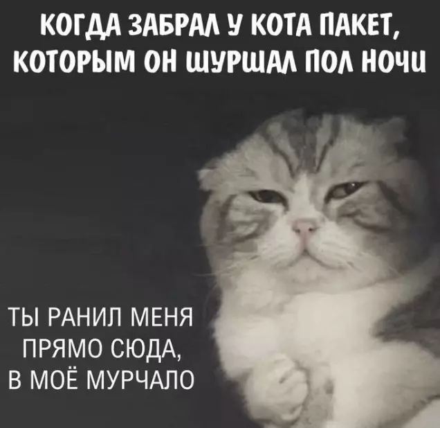 11 инструментов для вашего IT бизнеса которые сделают его стабильнее в нестабильное время - Моё, IT, Программирование, Бизнес, Веб-Разработка, Digital, Предпринимательство, Интернет, Совет, Длиннопост