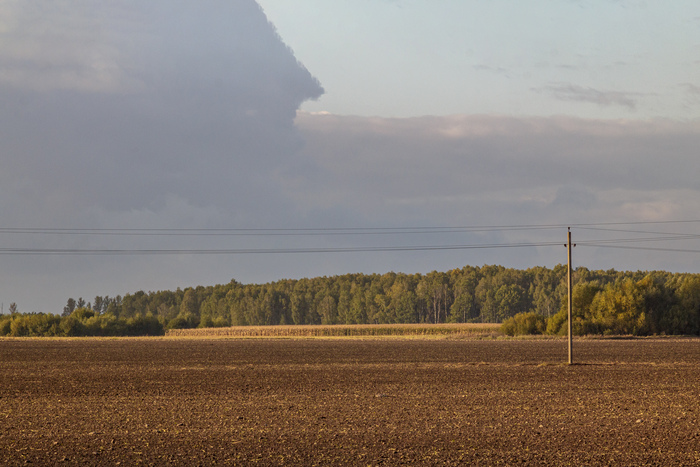 ������� ����