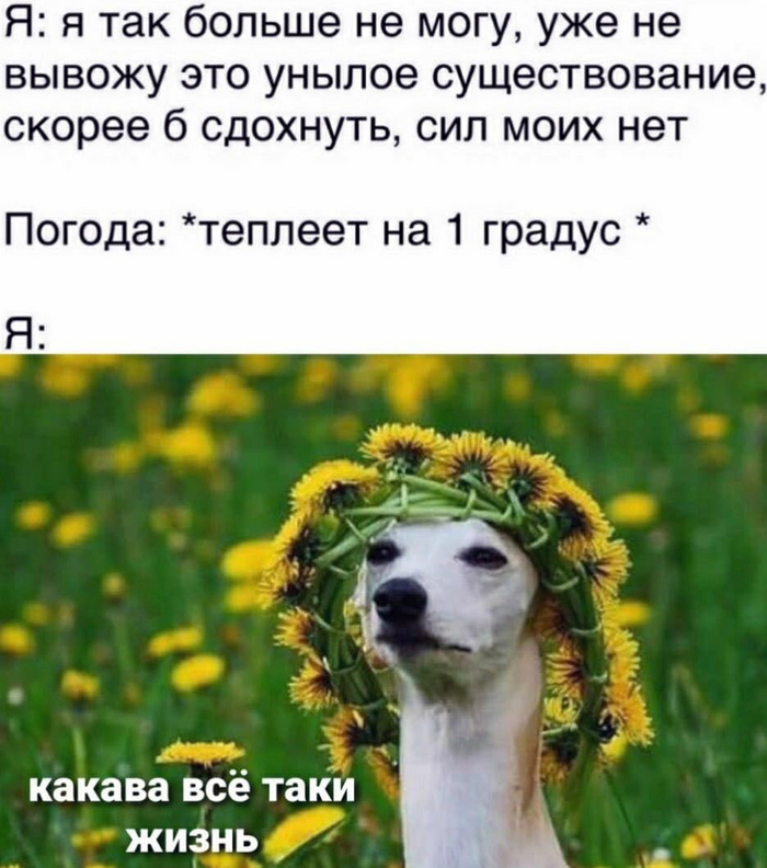    ,   , , , 