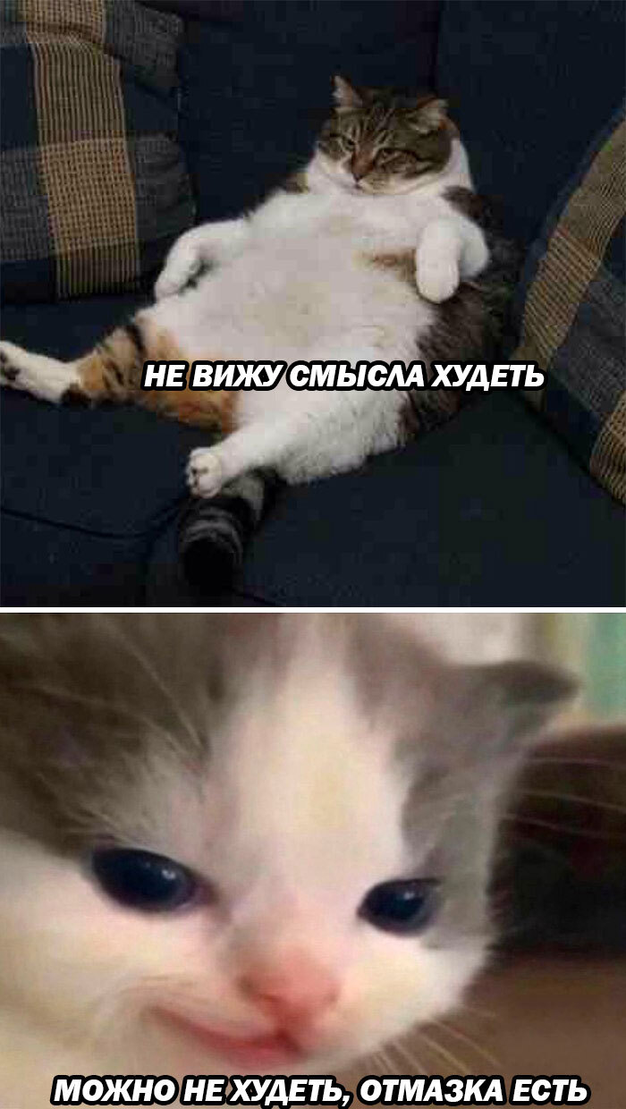 Ответ на пост «К Земле приближается громадный астероид»