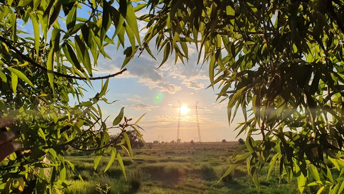 Капелька лета