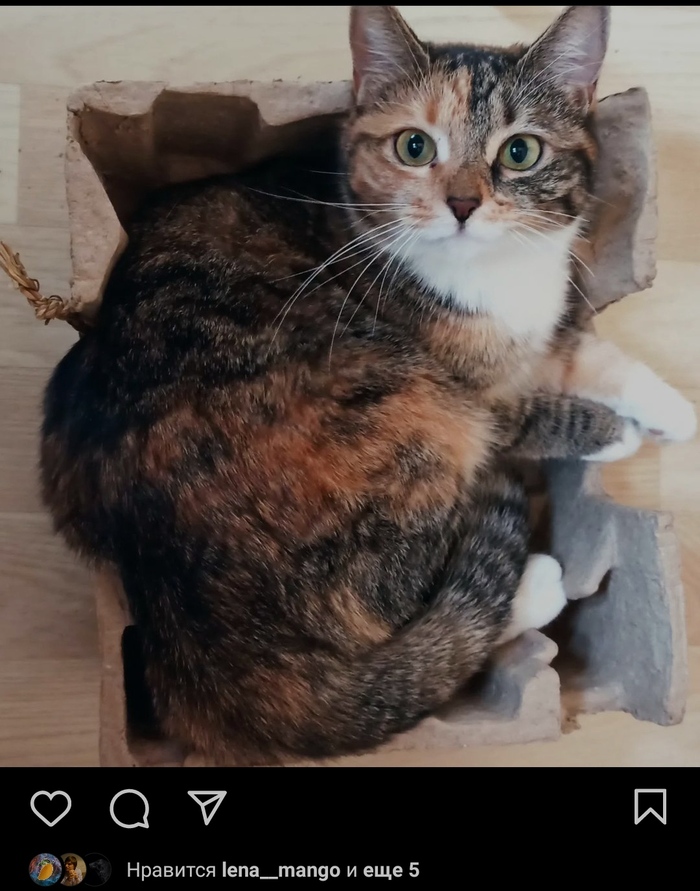           ? , , ,  , , ,   