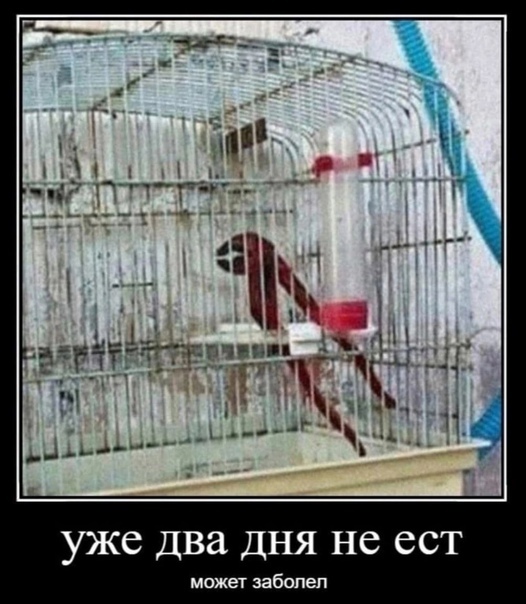 ���������� ������