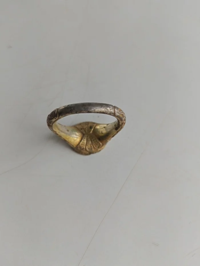 Comrades Pikabushniki, tell me please! - My, Archaeological finds, Ring, Longpost