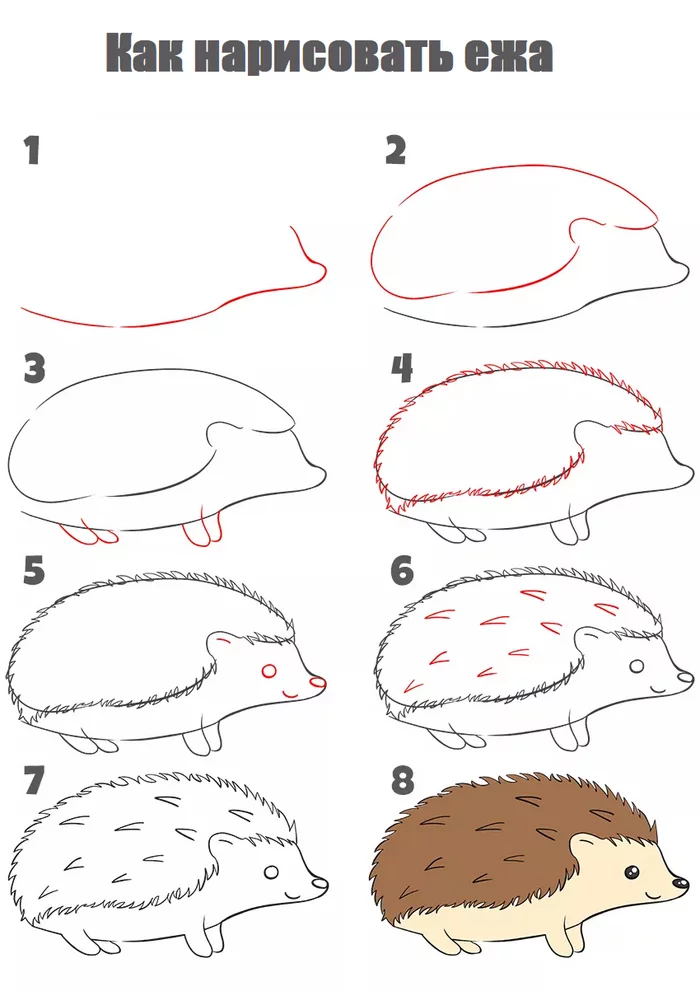 Draw a hedgehog step by step - Hedgehog, Animals, Nature, Creation, Painting, Drawing, Drawing process, Digital, Art, Digital drawing, Drawing lessons, Tutorial