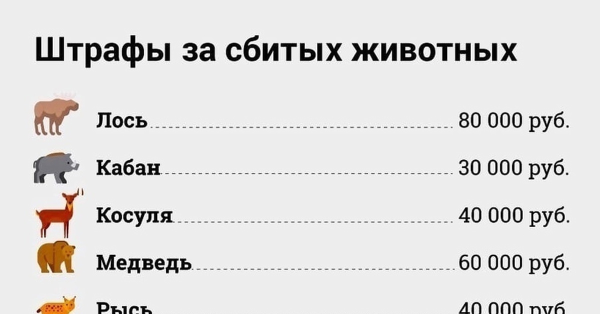 Штраф сбито дикое животное. Штрафы за сбитых животных. Штрафы за сбитых животных 2023. Таблица штрафов за сбитых животных. Таблица за сбитие животного.