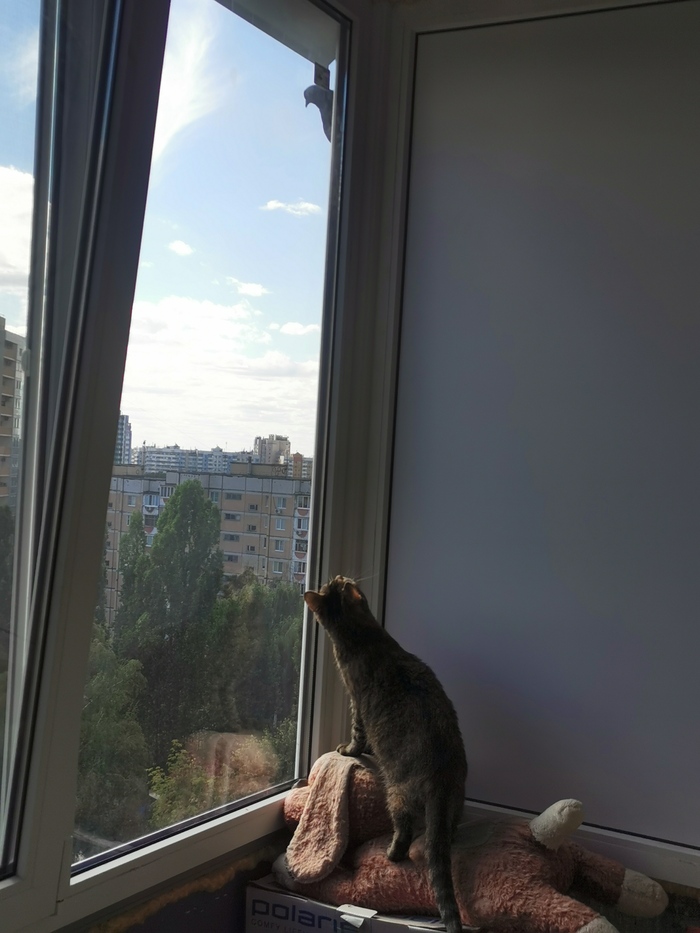 � ��� ��� � ���?