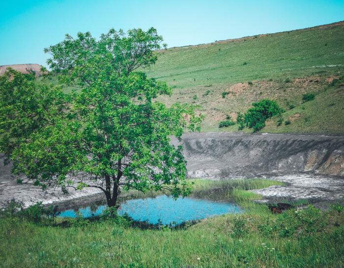 Воспоминания о лете