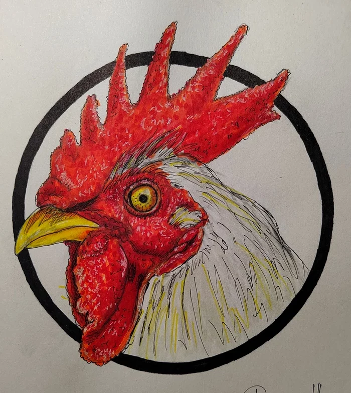 First rooster in my life - My, Drawing, Sketch, Sketchbook, Rooster, Inktober