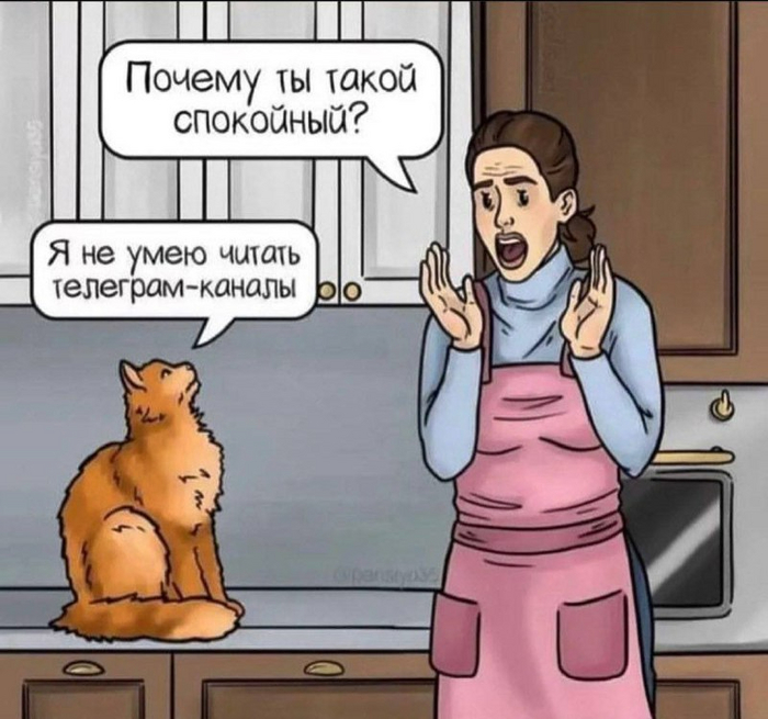 Коты Юмор, Мемы, Кот, Картинка с текстом