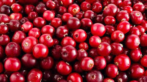 Just went to the forests for cranberries - Special operation, Military enlistment office, Slope from the army, Cranberry, Partial mobilization, Its, Mobilization, Politics