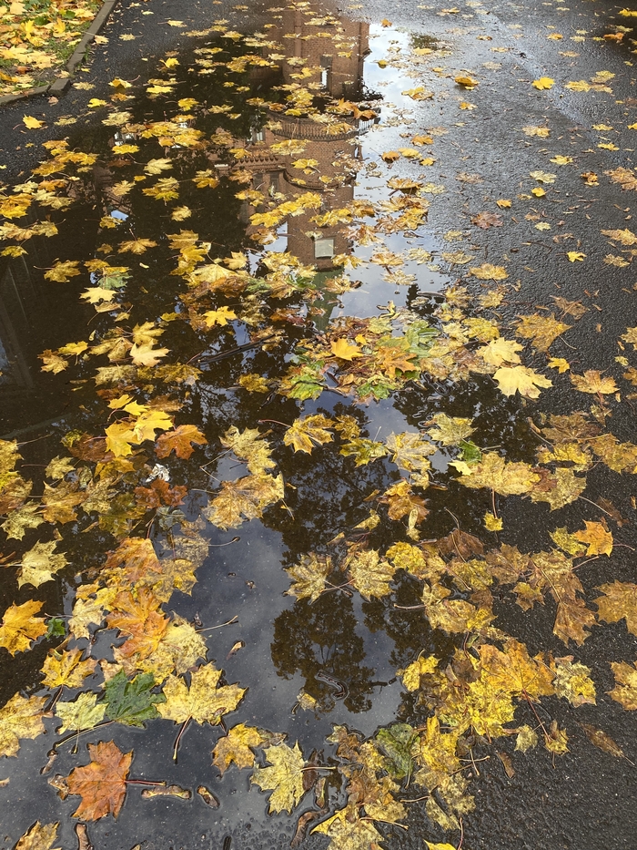  -, ,  ,  