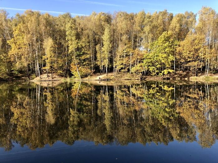 ����� �� ���� �� ������� ������ ���� ��� ����� ���� �� ��������