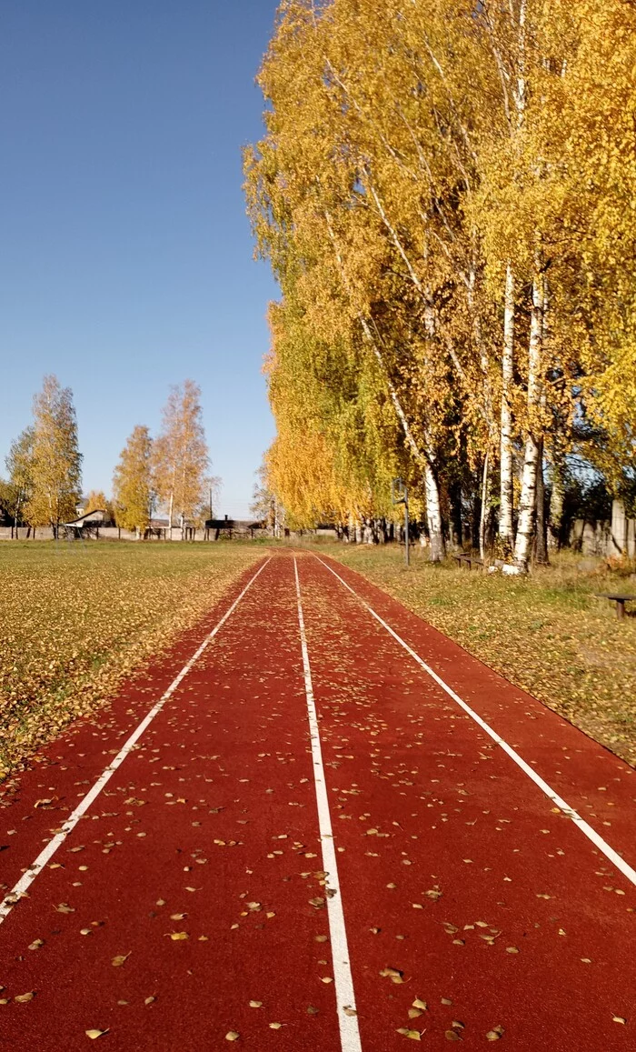 My photo in the phone, worthy of becoming a desktop background - My, Mobile photography, Autumn, Screensaver, Treadmill