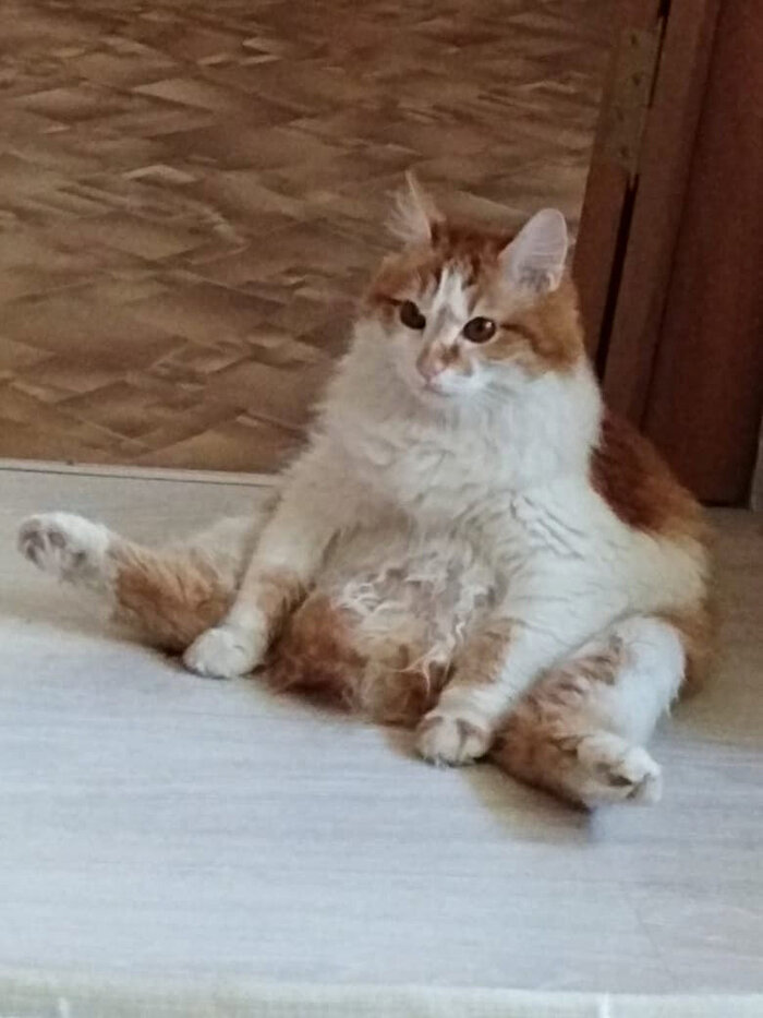 ������� ������ ���������