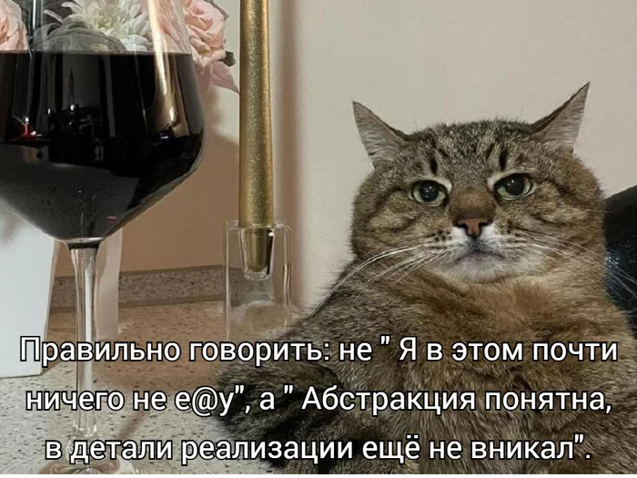 speak right - Picture with text, Humor, Right, Repeat, Mat, Cat Stepan