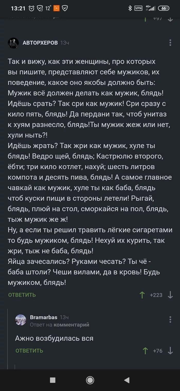 Так вот ты какой мужик, о котором грезят все бабы - Юмор, Скриншот, Мат, Длиннопост, Комментарии на Пикабу, Повтор