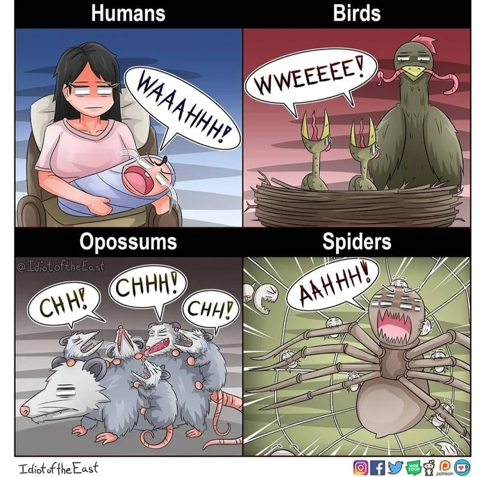 Such same motherhood - Spider, Motherhood, Humor, Instagram