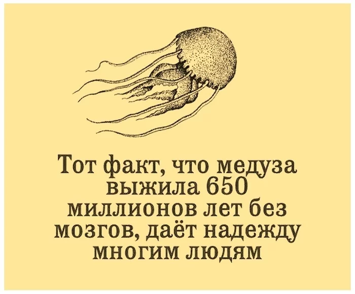 Hope - Humor, Jellyfish, Picture with text, Repeat