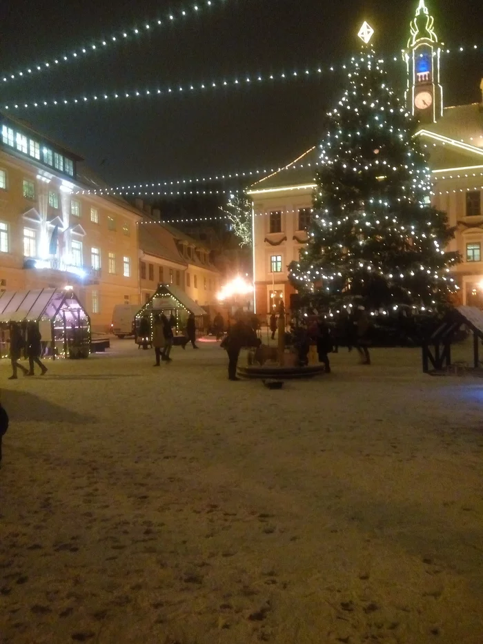 About help, bed and winter miracle - My, Story, Studies, Estonia, Tartu, Ice, Christmas trees, University, Longpost