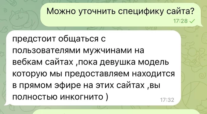 Ищу я такой работу на удаленке - Моё, Удаленная работа, Вебкам-Модель, Работа, Скриншот