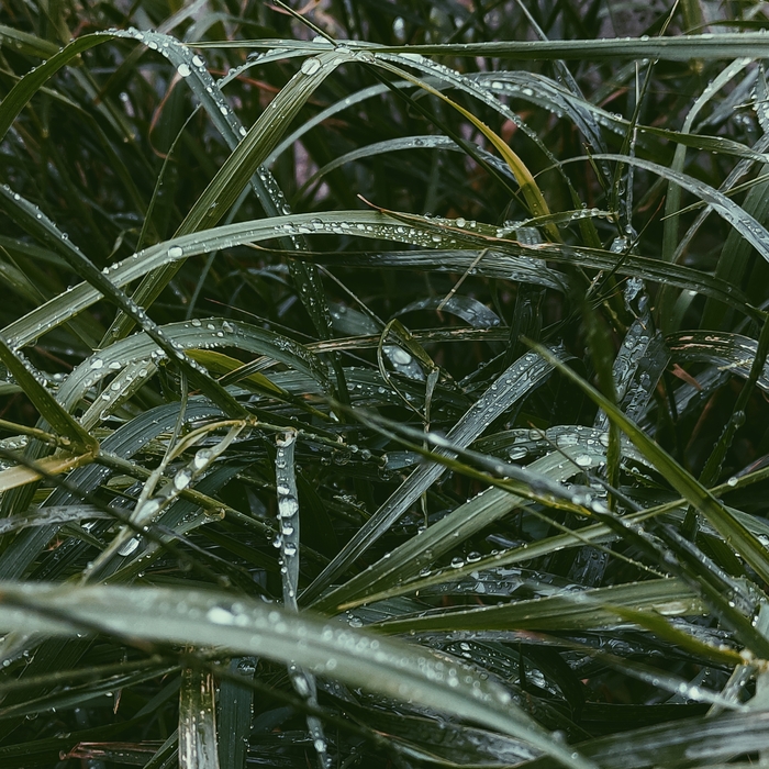 Делюсь своими фотками Мобильная фотография, Фотограф, Фотография, Длиннопост, Путешествия, Кот