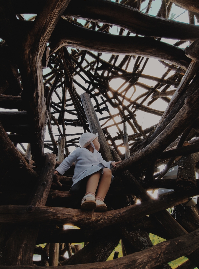 Делюсь своими фотками Мобильная фотография, Фотограф, Фотография, Длиннопост, Путешествия, Кот