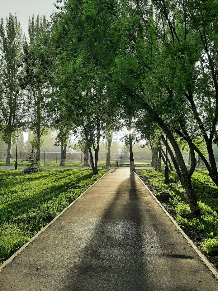 Ответ на пост «У каждого должен быть тот самый кадр на телефон»