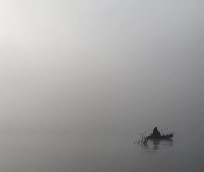 Reply to the post Everyone should have the same frame - My, Mobile photography, A wave of posts, Volga river, Fog, Calm, Frame, Reply to post