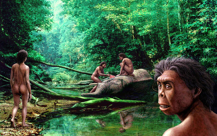 Древний человек - Homo Floresiensis до сих пор живет в Индонезии Древние люди, Чарльз Дарвин, Видео, YouTube, Длиннопост