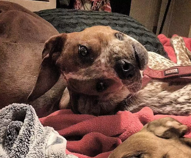 ��� ����� ����������?