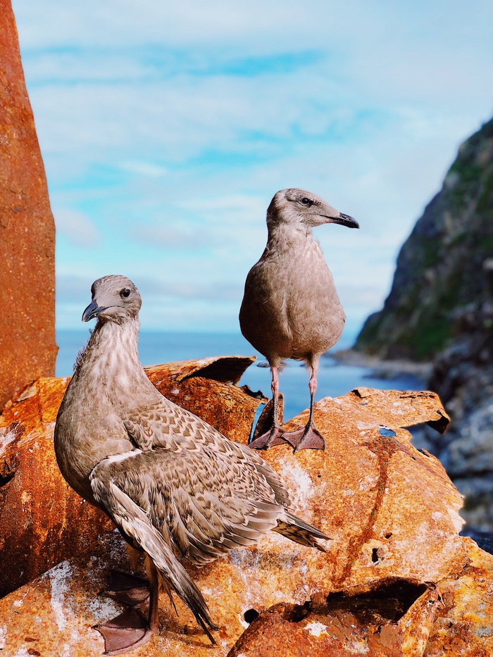 ����� �� ���� �� ������� ������ ���� ��� ����� ���� �� ��������