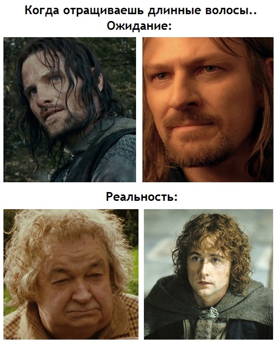 Expectation and reality - Lord of the Rings, Прическа, Long hair, Picture with text, Translated by myself