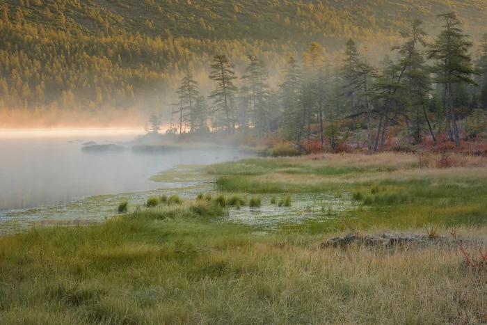 Fog over the river. The most beautiful place - Nature, The photo, Forest, The nature of Russia, Fog, Water, The mountains