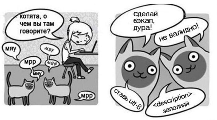 Милые котики