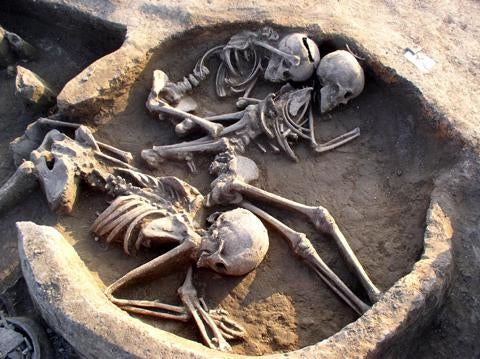 Family in Hungary who died in 1241-1242 during the Mongol campaign in Europe - My, Archeology, Story, Interesting, Middle Ages, Longpost, Skeleton, Negative
