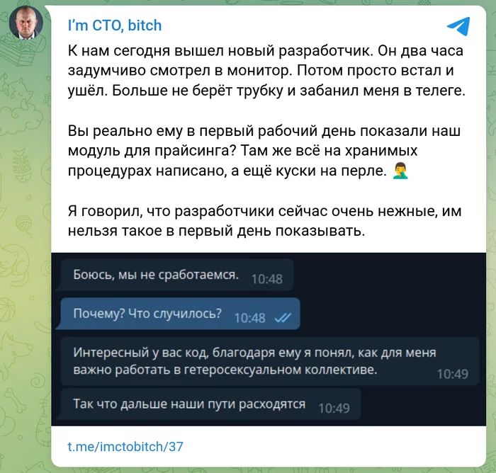 Did everything right - My, I`m CTO bitch, IT humor, Dismissal, Humor, Development of, Programmer, Screenshot, Telegram