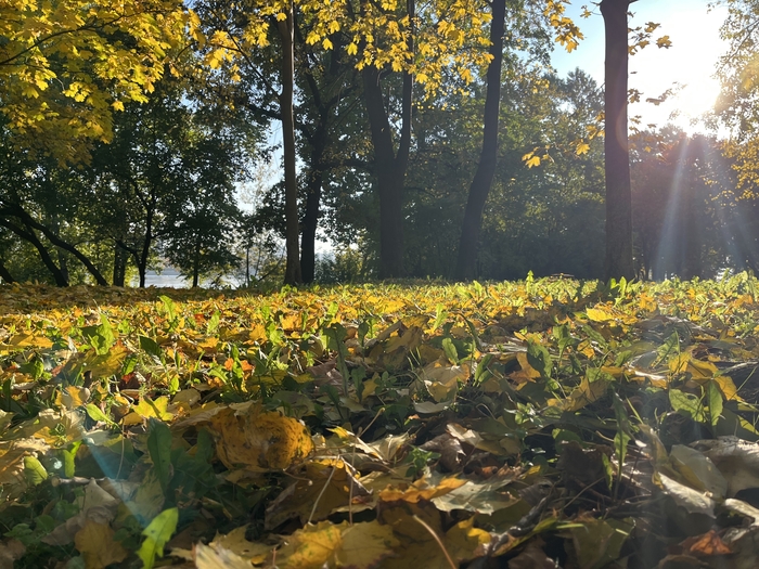 Ответ на пост «У каждого должен быть тот самый кадр на телефон»