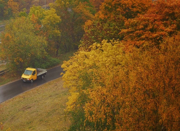 yellow - My, Autumn, Landscape, Autumn leaves, The photo