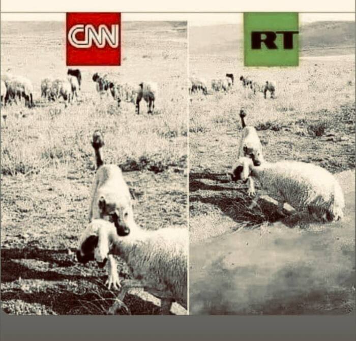   ,  , CNN, Russia today, , , 