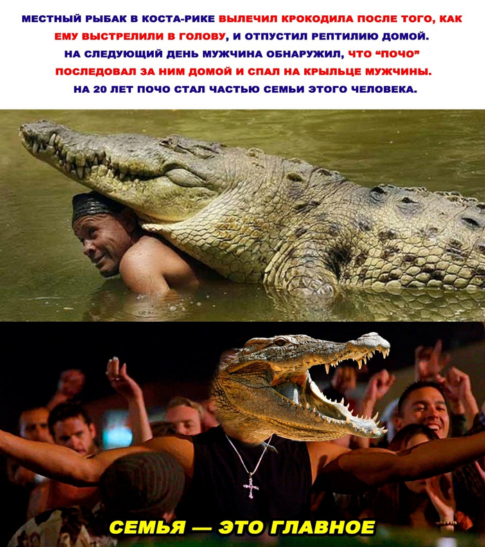 ����� - ��� �������