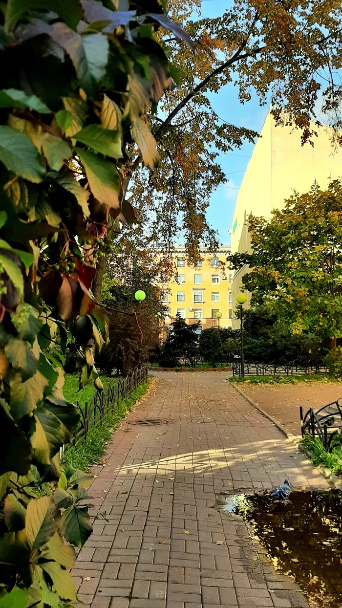 Reply to the post I went for shoes - the landscape is a bonus - My, Saint Petersburg, Courtyard, Landscape, City walk, Autumn, Foliage, Autumn leaves, Reply to post, Longpost