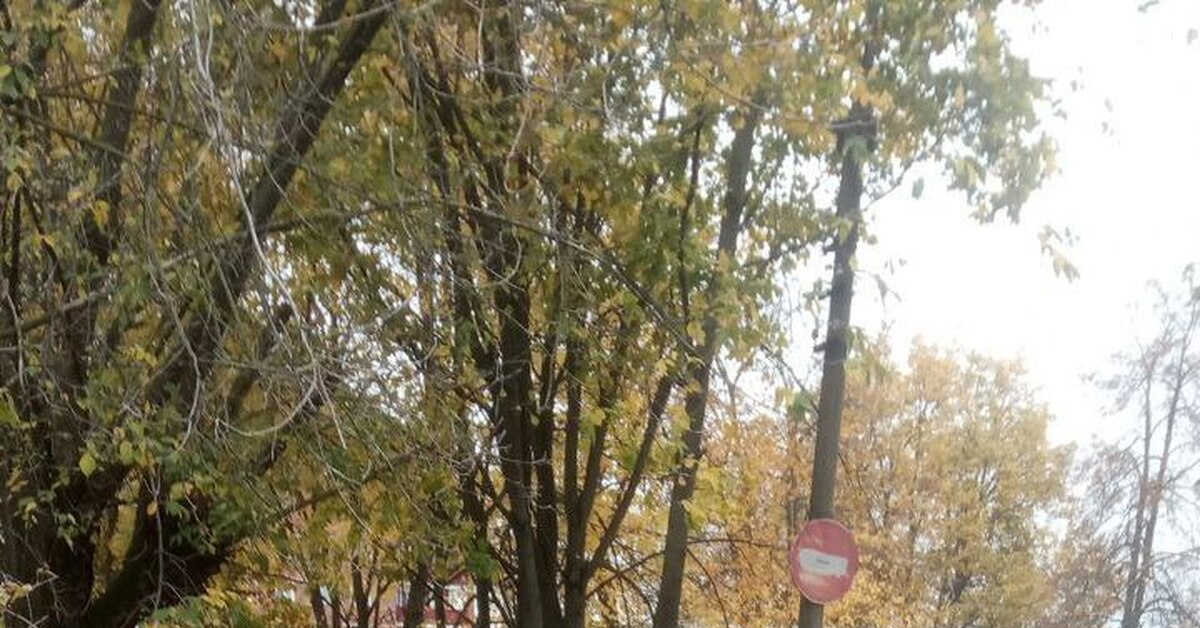 Наконец-то? | Пикабу