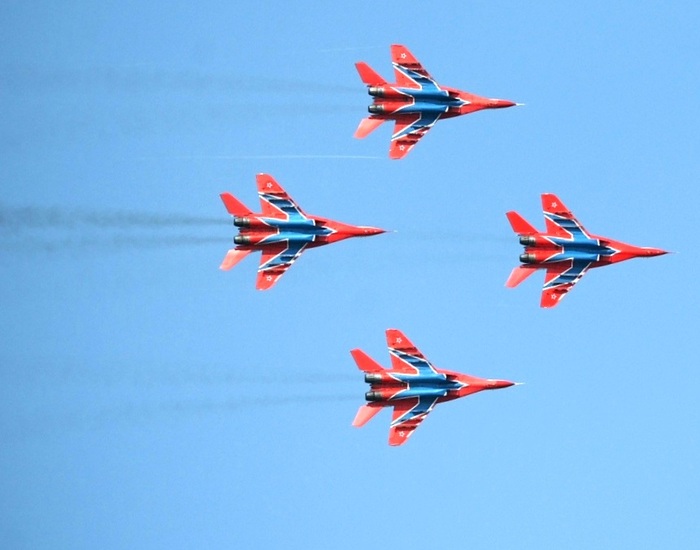 Стрижи прилетели | Пикабу