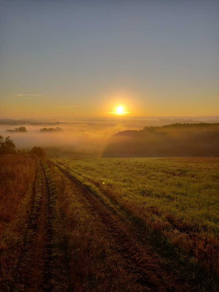 Foggy morning - My, Fog, Photo on sneaker, Morning