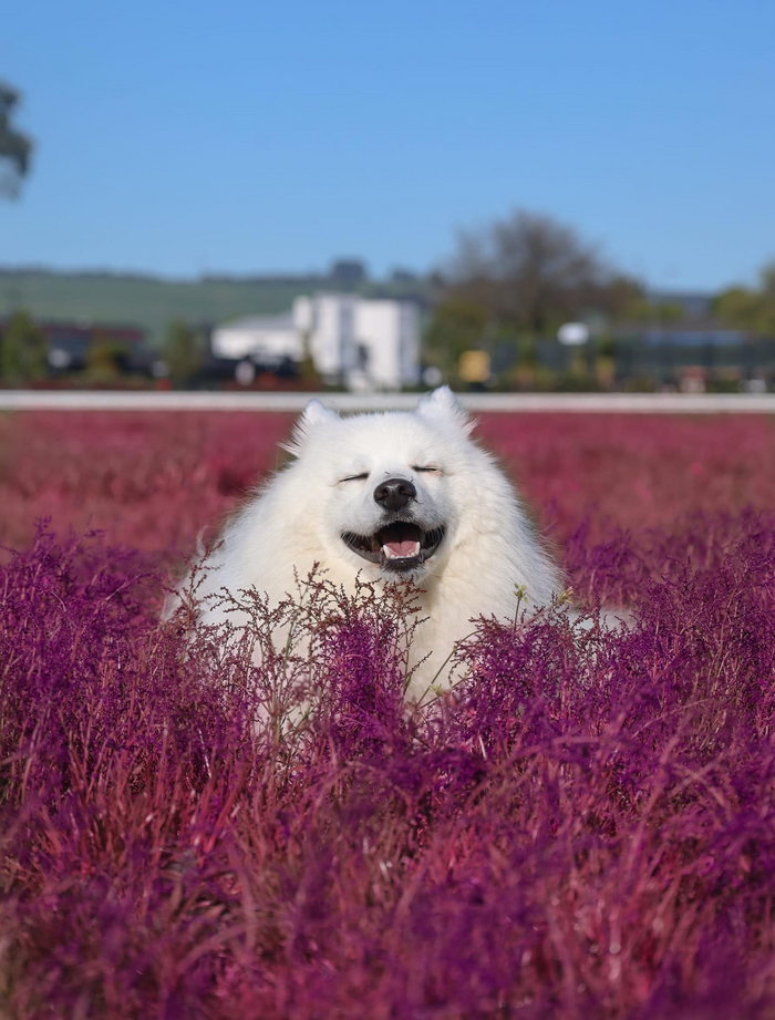 Ну разве он не милашка?