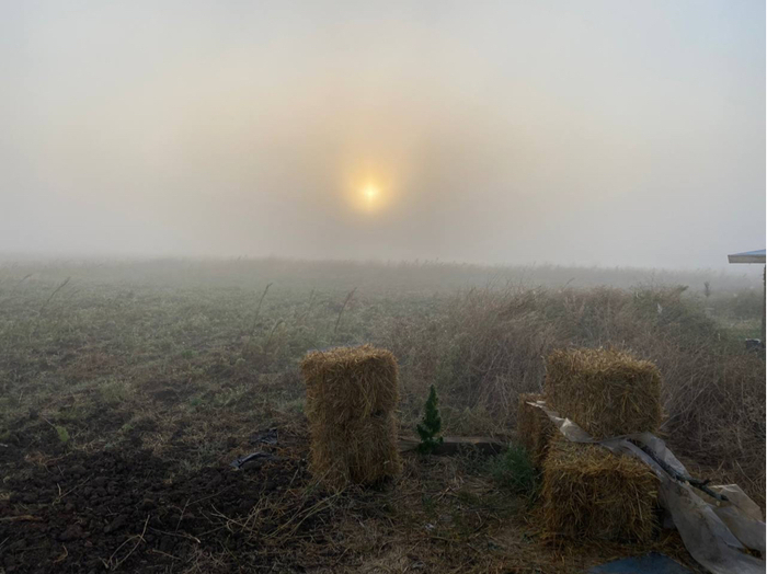 ����� �� ���� � ���� ����� ���������� �����