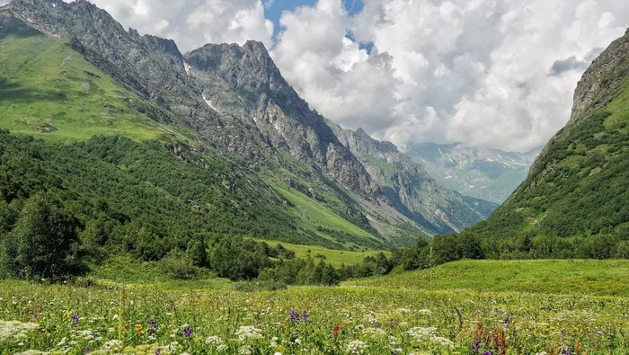 Continuation of the post Caucasian State Natural Biosphere Reserve - My, The photo, Nature, The nature of Russia, Russia, The mountains, Mountain tourism, Republic of Adygea, Caucasian Reserve, River, Flowers, Sky, Landscape, Waterfall, Bridge, Reserves and sanctuaries, Forest, beauty, Gotta go, Reply to post