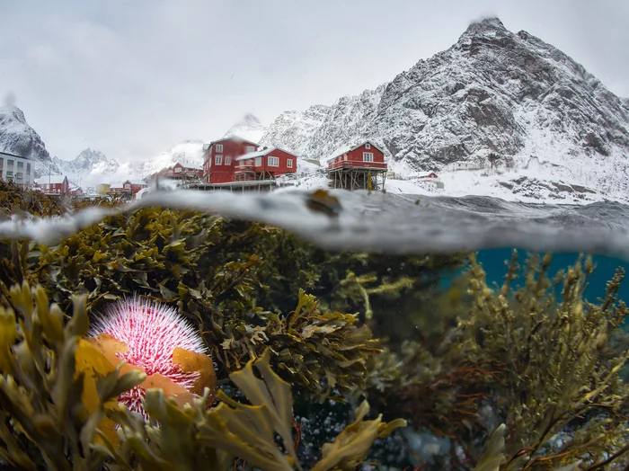 Two worlds - My, Nature, The mountains, Norway, Winter, The photo, Split, Lofoten, Lofoten islands