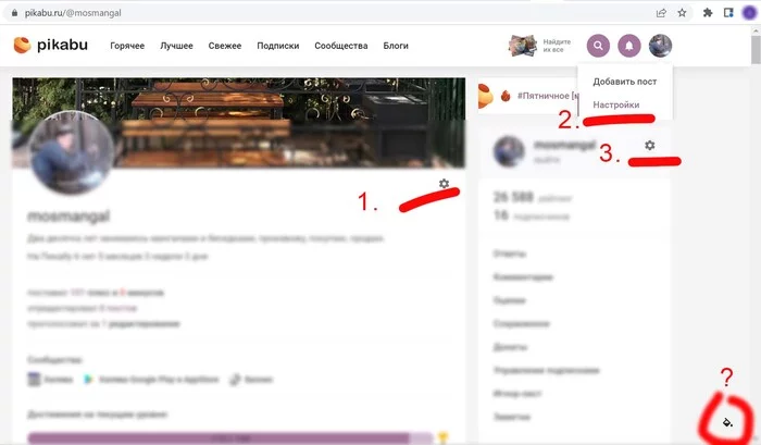 Мало настроек, нужно больше - Моё, Пикабу, Скриншот, Настройки